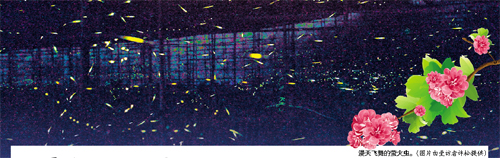 浪漫七夕步步为萤